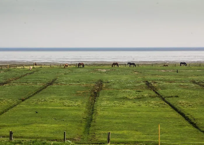 Solt Апартаменты